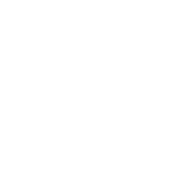 IP-WHITE